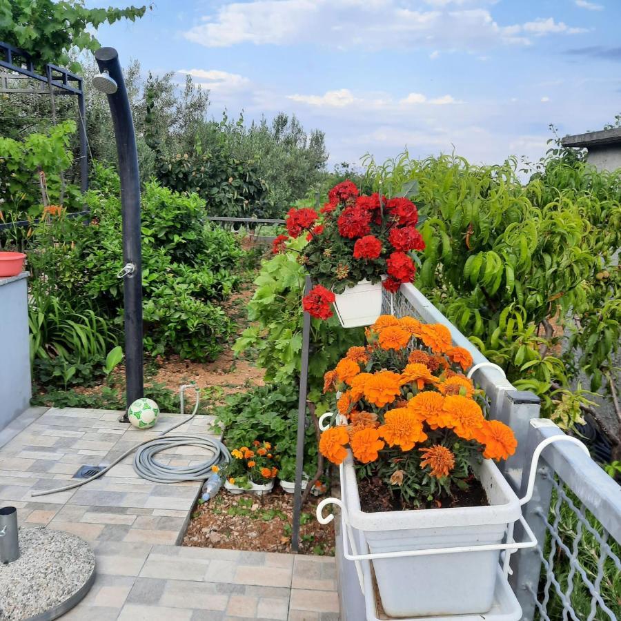 Studio Apartman Mare โตรกีร์ ภายนอก รูปภาพ